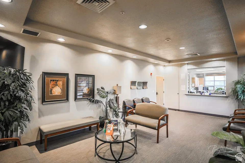 Carpeted living room featuring a raised ceiling and recessed lighting