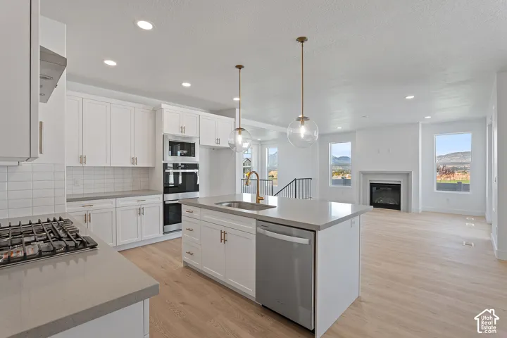 Kitchen with appliances with stainless steel finishes, backsplash, light wood-style floors, healthy amount of natural light, and recessed lighting