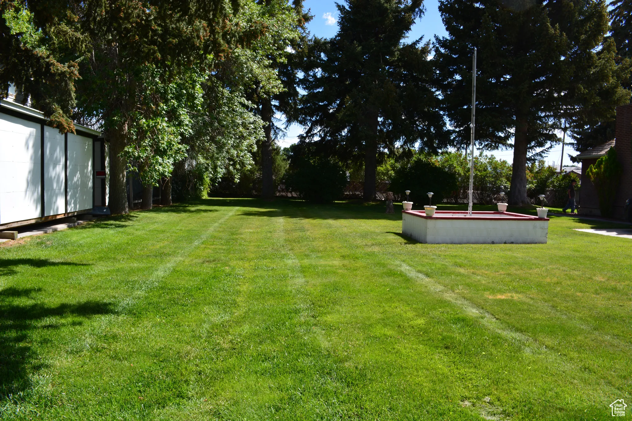 View of grassy yard