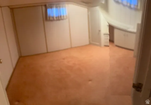 Additional living space featuring light carpet