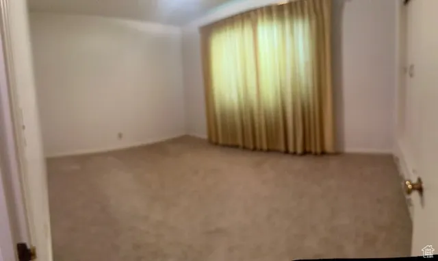 Unfurnished room with carpet flooring and baseboards