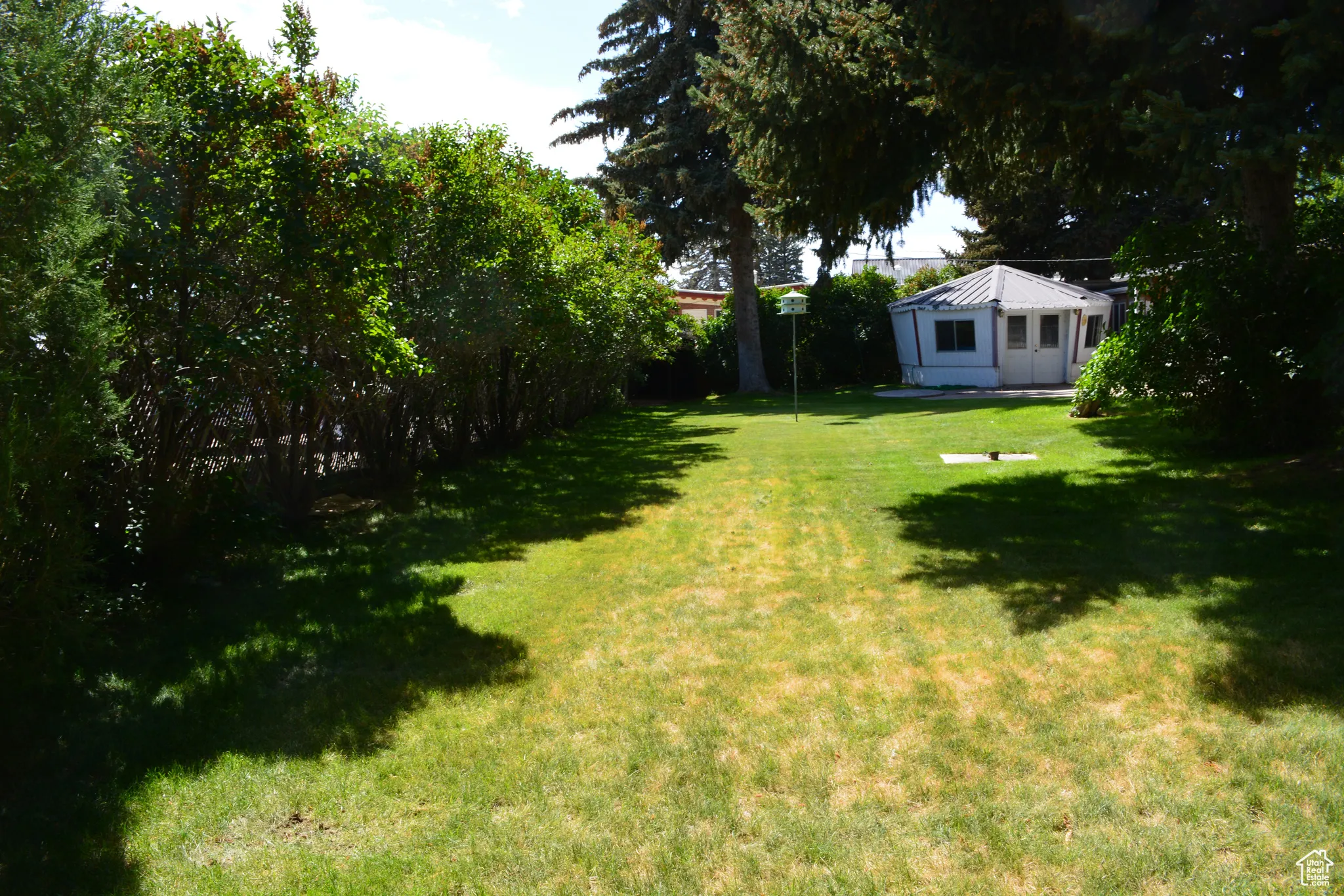View of grassy yard