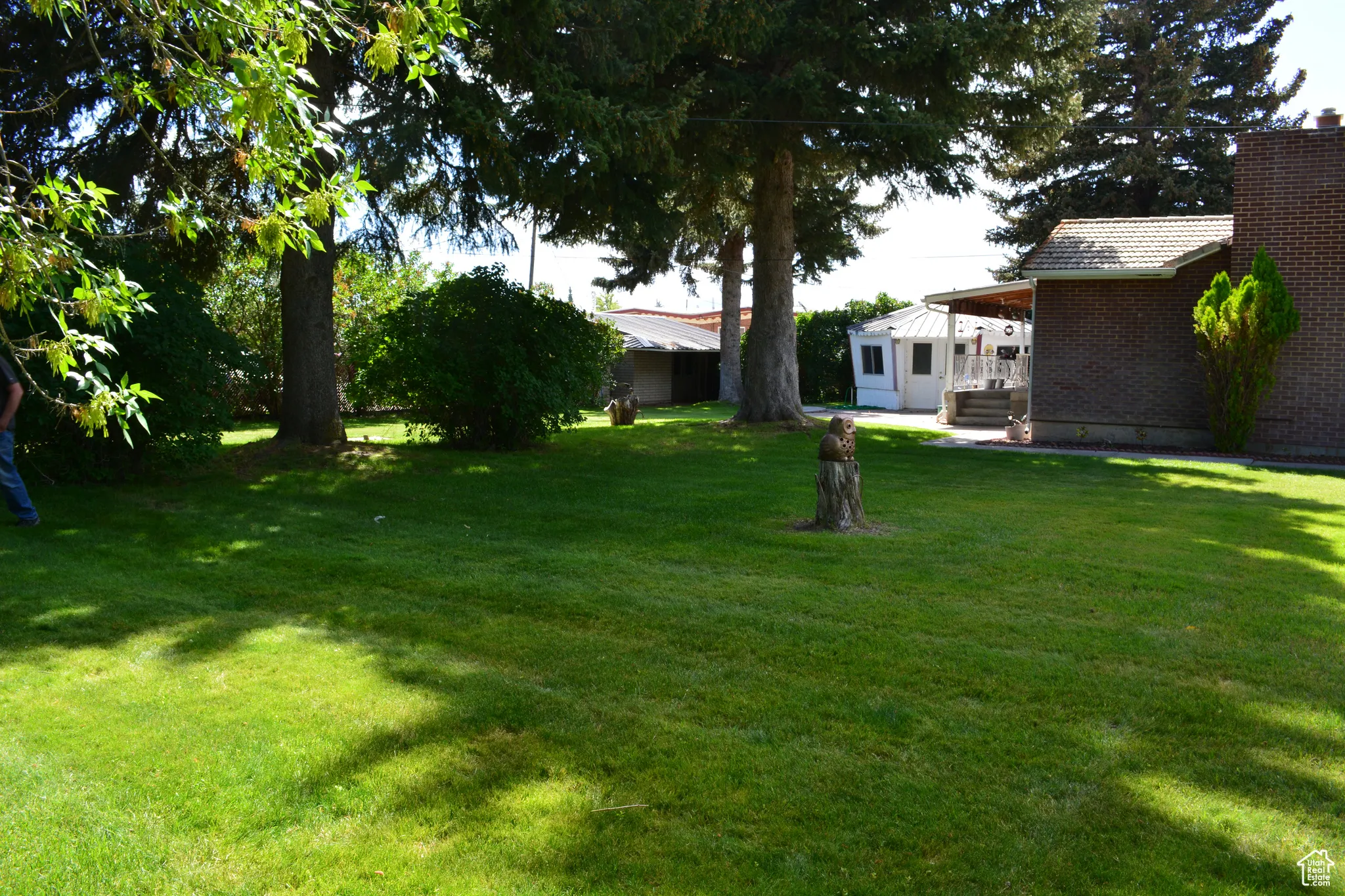 View of grassy yard