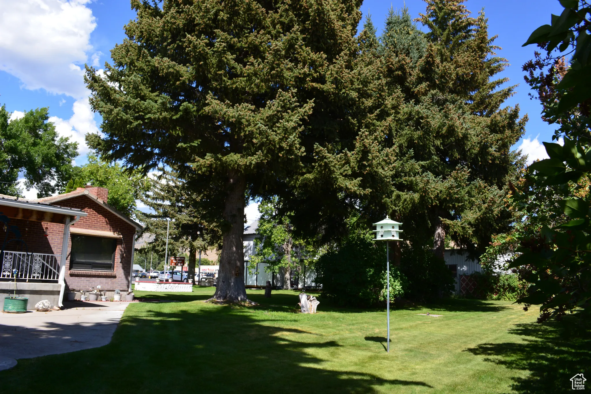 View of grassy yard