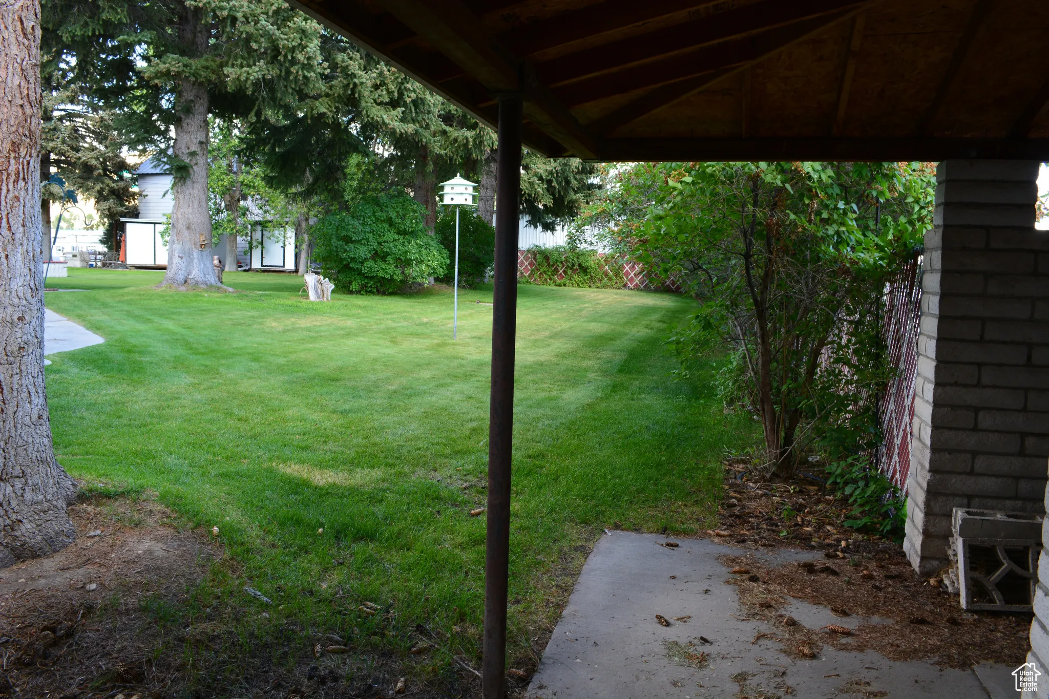 View of green lawn