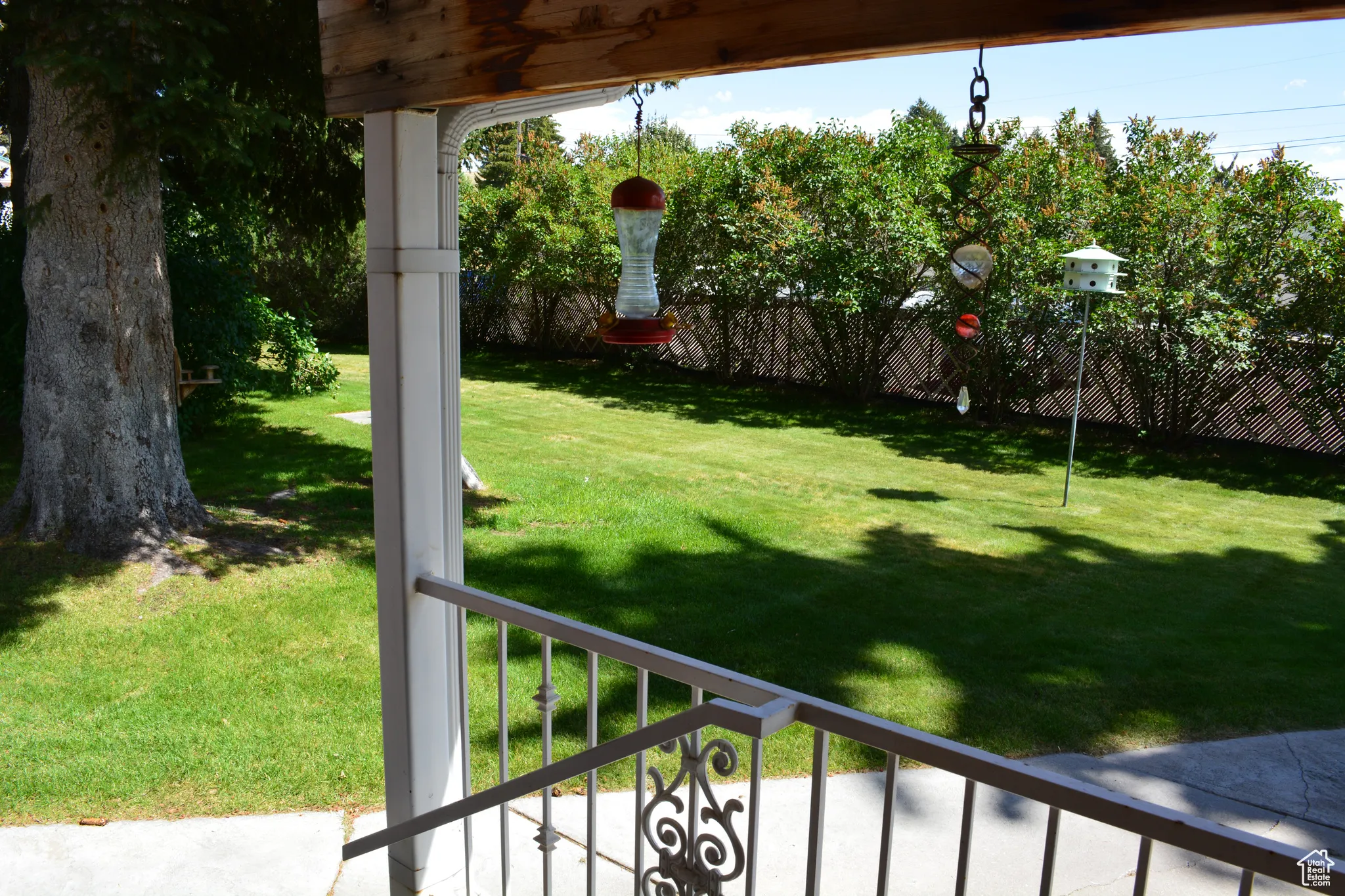 View of grassy yard