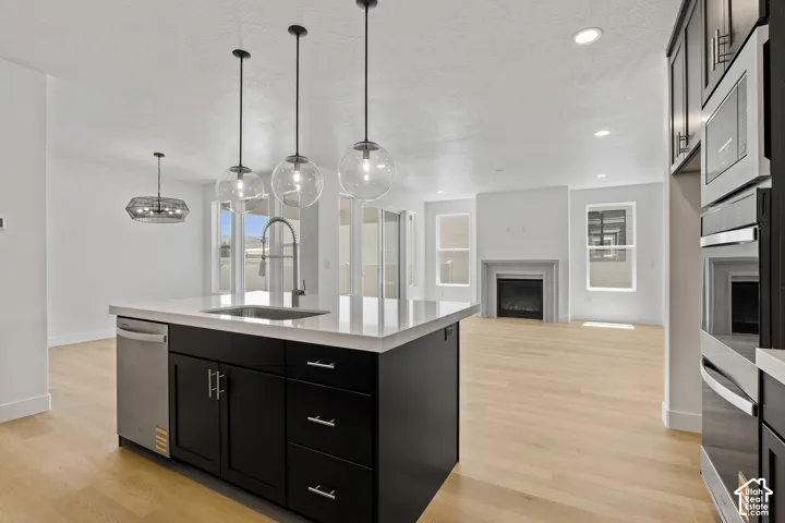 Kitchen with a fireplace, dark cabinetry, light countertops, light wood finished floors, and appliances with stainless steel finishes