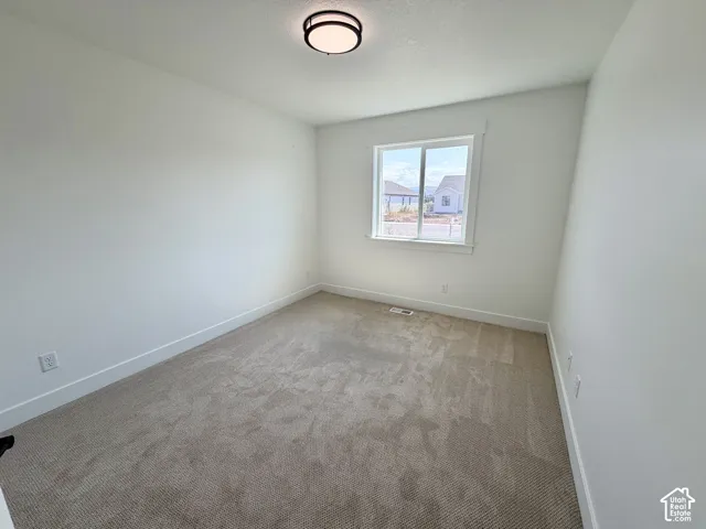 Neutral wall paint and carpeting throughout
