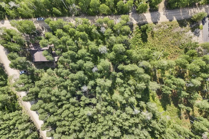 Bird's eye view of a heavily wooded area