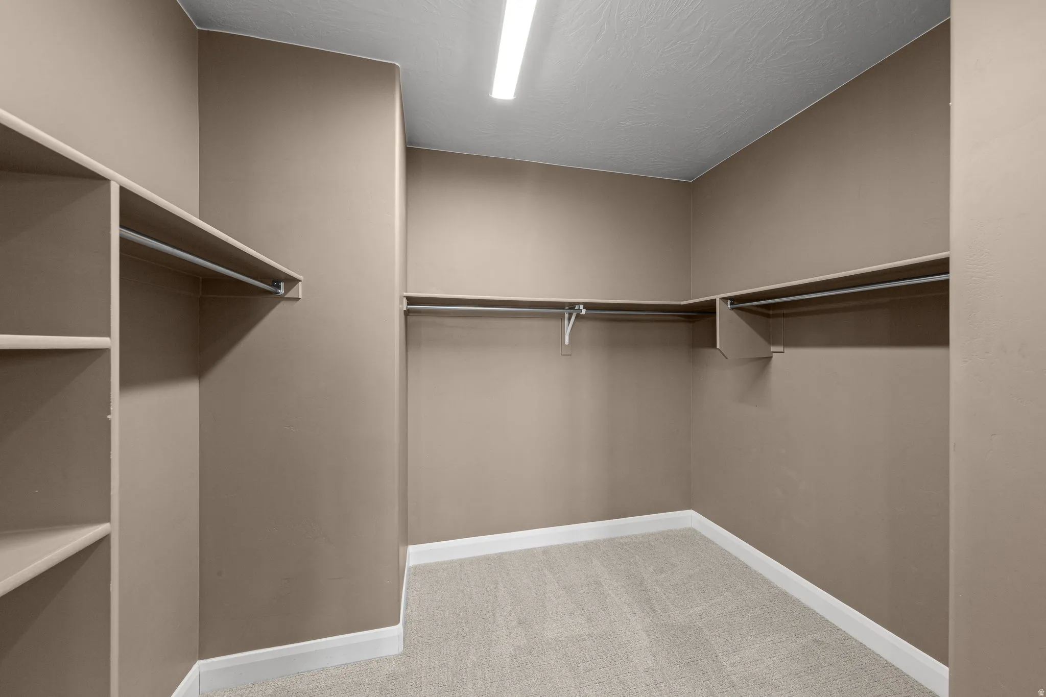 Spacious closet featuring light carpet