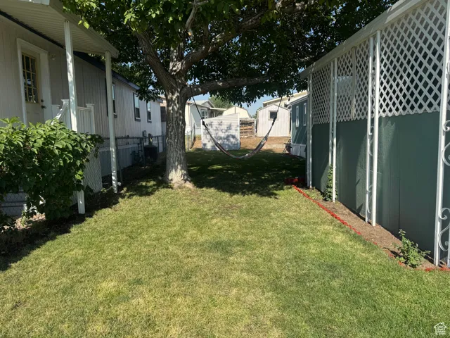 View of grassy yard