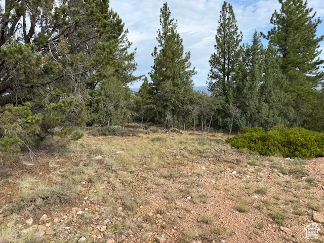 View of nature