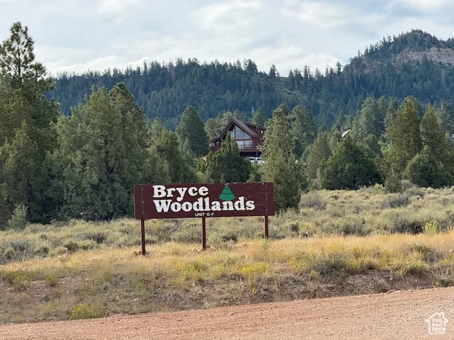 Exterior view of a forest and a mountain backdrop