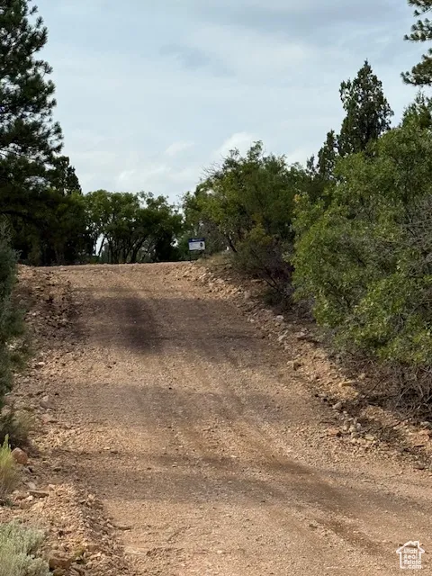 View of local wilderness