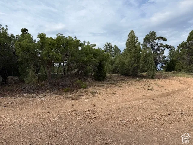 View of nature