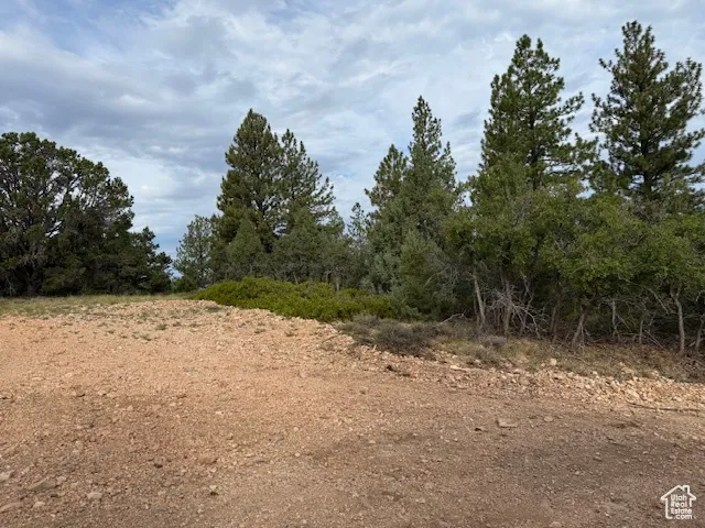 View of undeveloped land