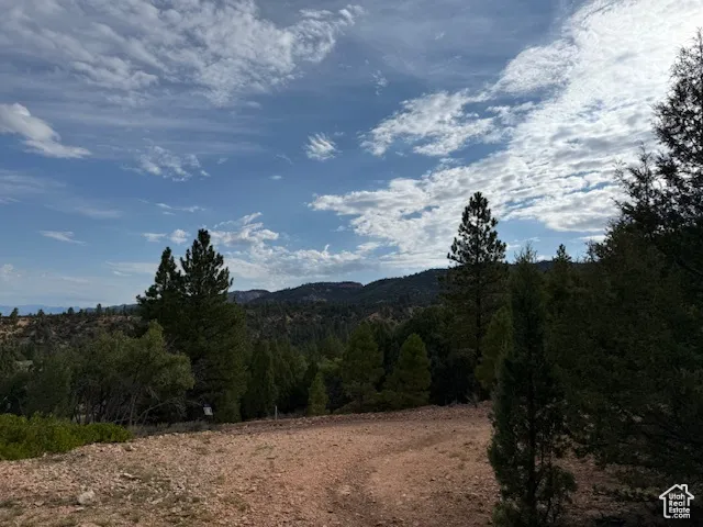 Mountain view featuring a forest