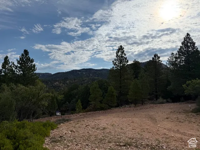 Mountain view featuring a heavily wooded area