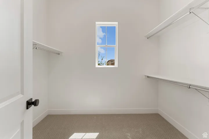 Walk in closet with carpet