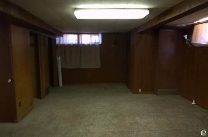 Below grade area with wooden walls and light colored carpet