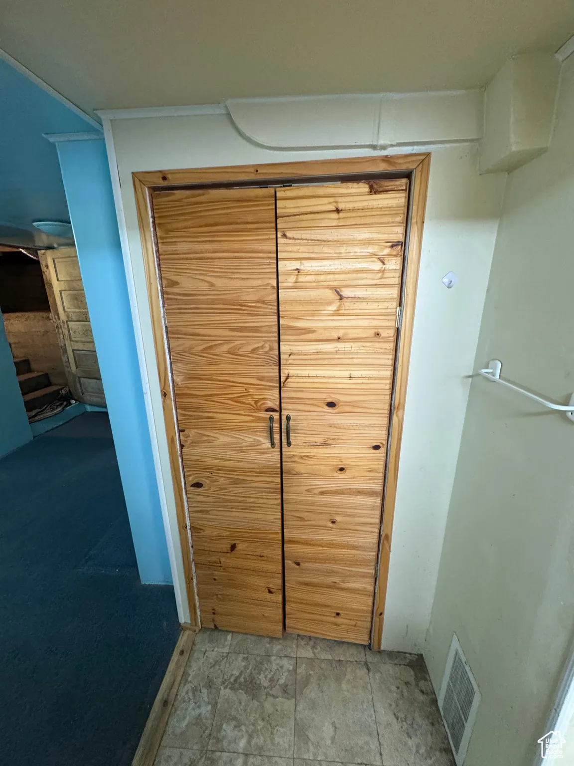 Basement Pantry Doors
