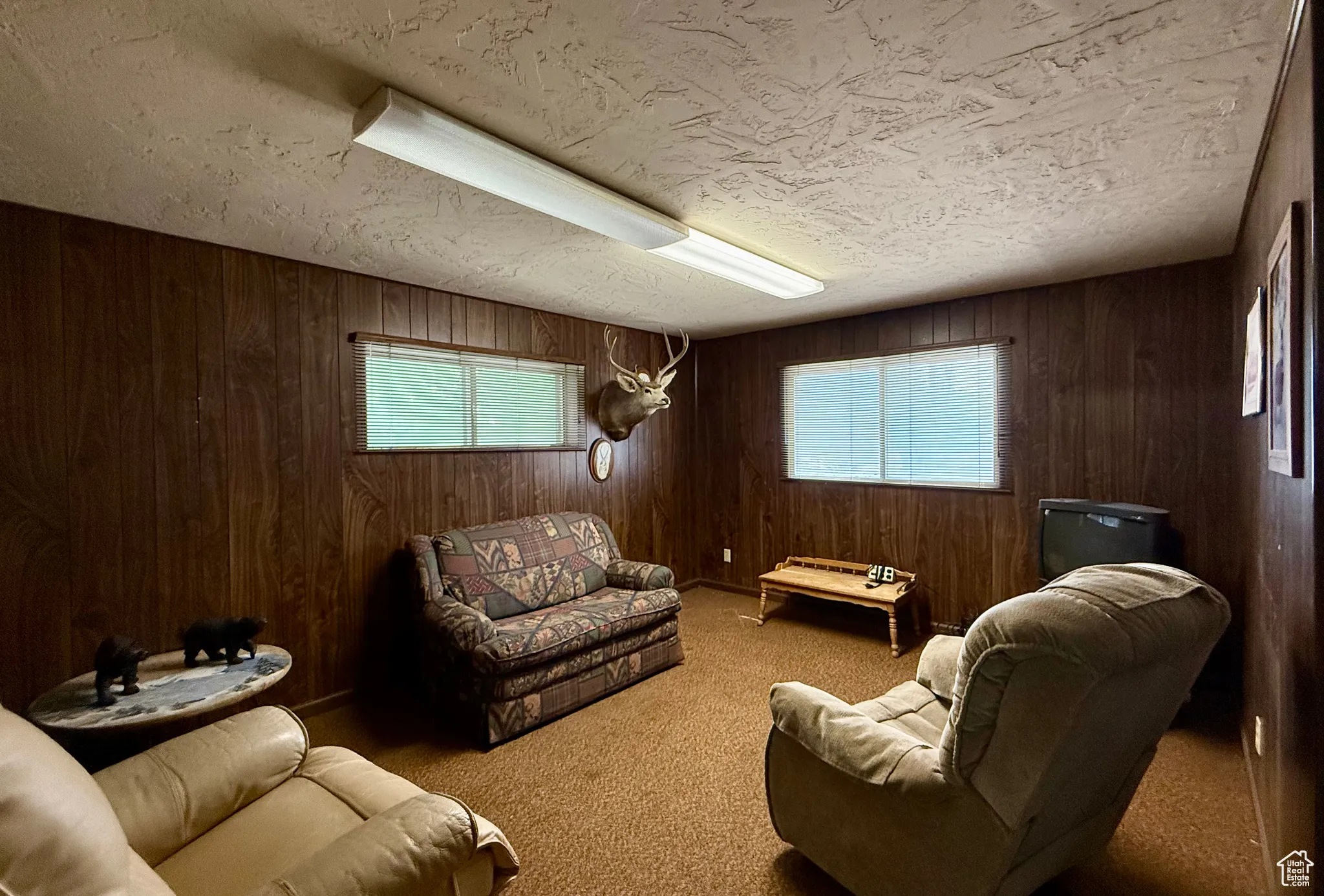 Sitting room with wood walls, carpet floors, and a textured ceiling