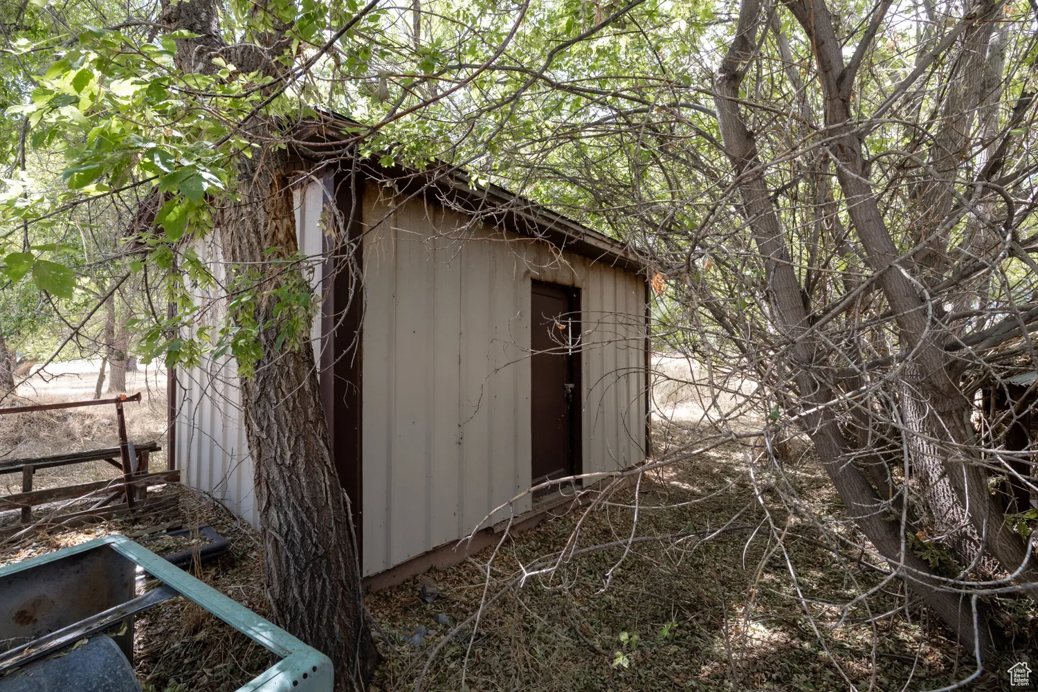 View of shed