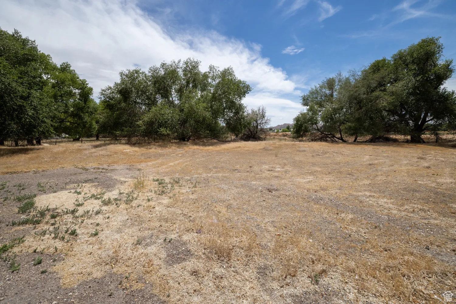 View of local wilderness with rural landscape