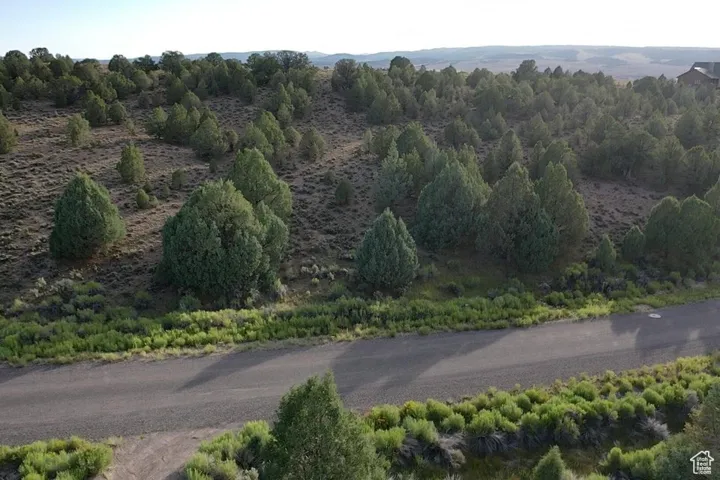 View of road