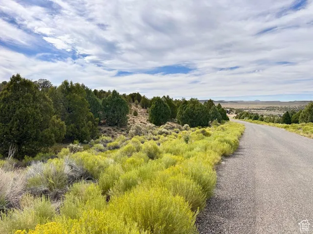 View of local wilderness with rural landscape