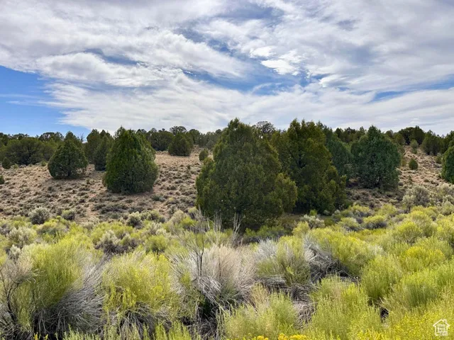View of nature featuring rural landscape