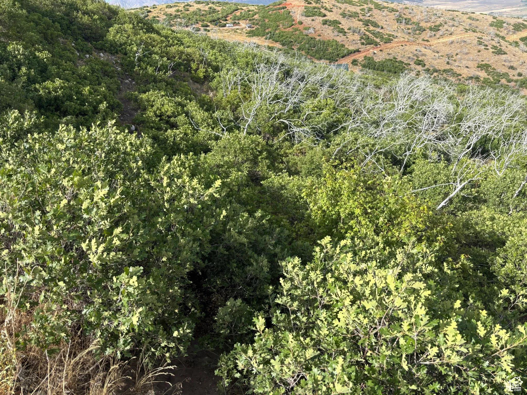 View of mountain backdrop