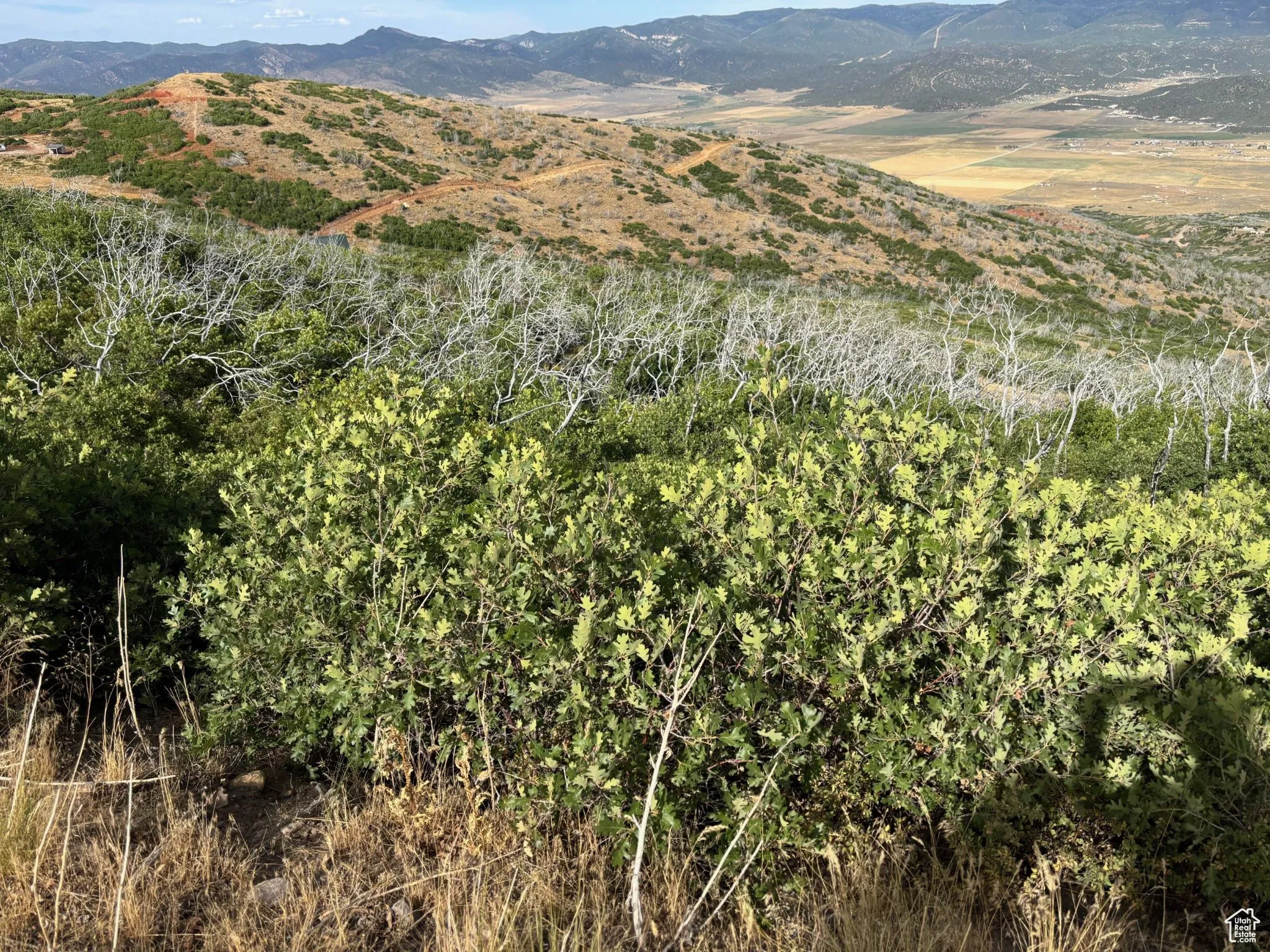View of mountain background