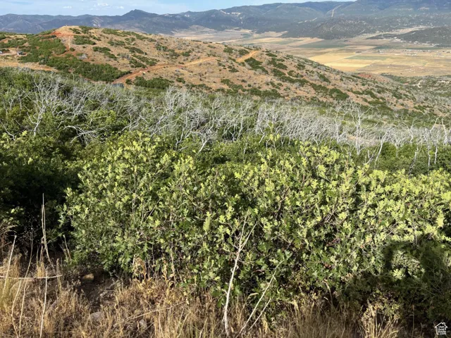 View of mountain background