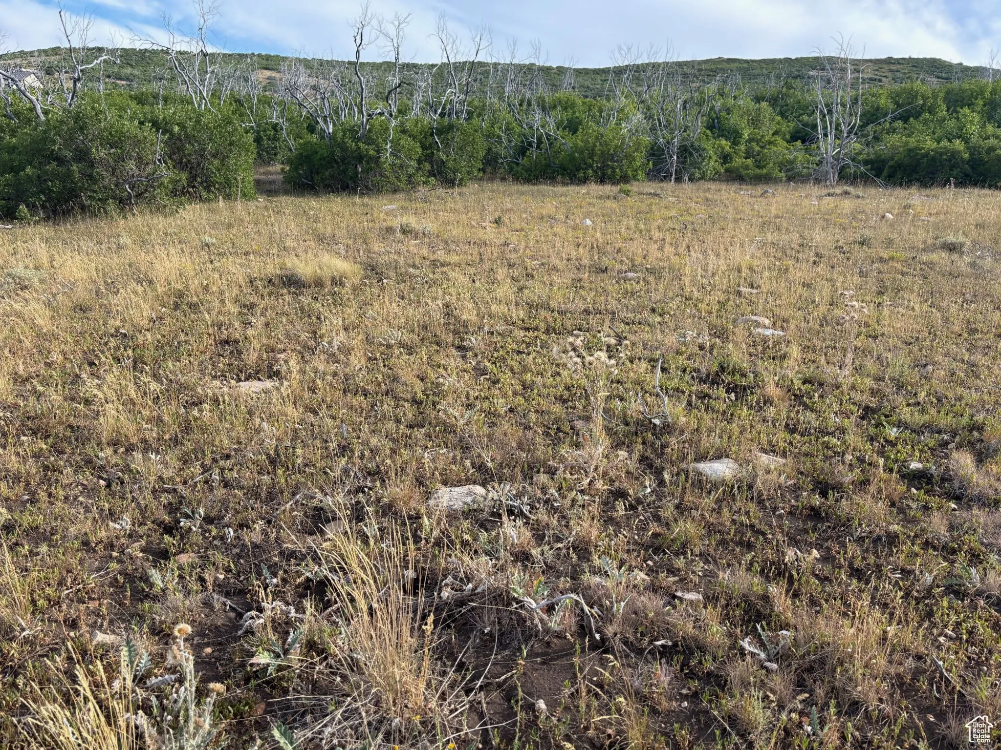 View of nature with rural landscape