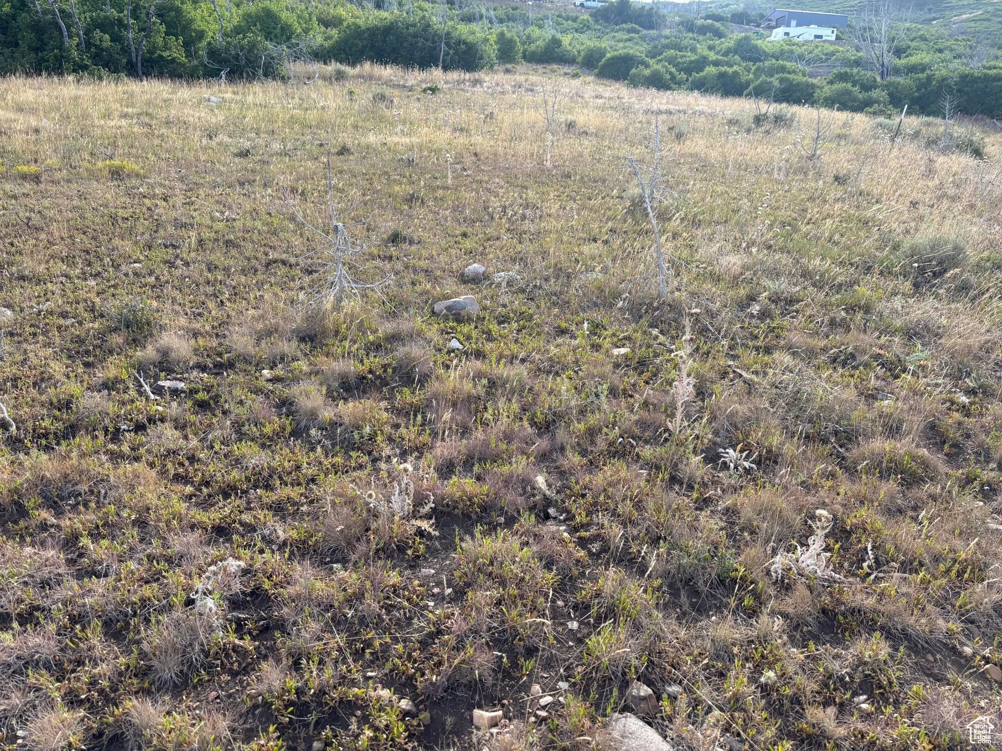 View of undeveloped land