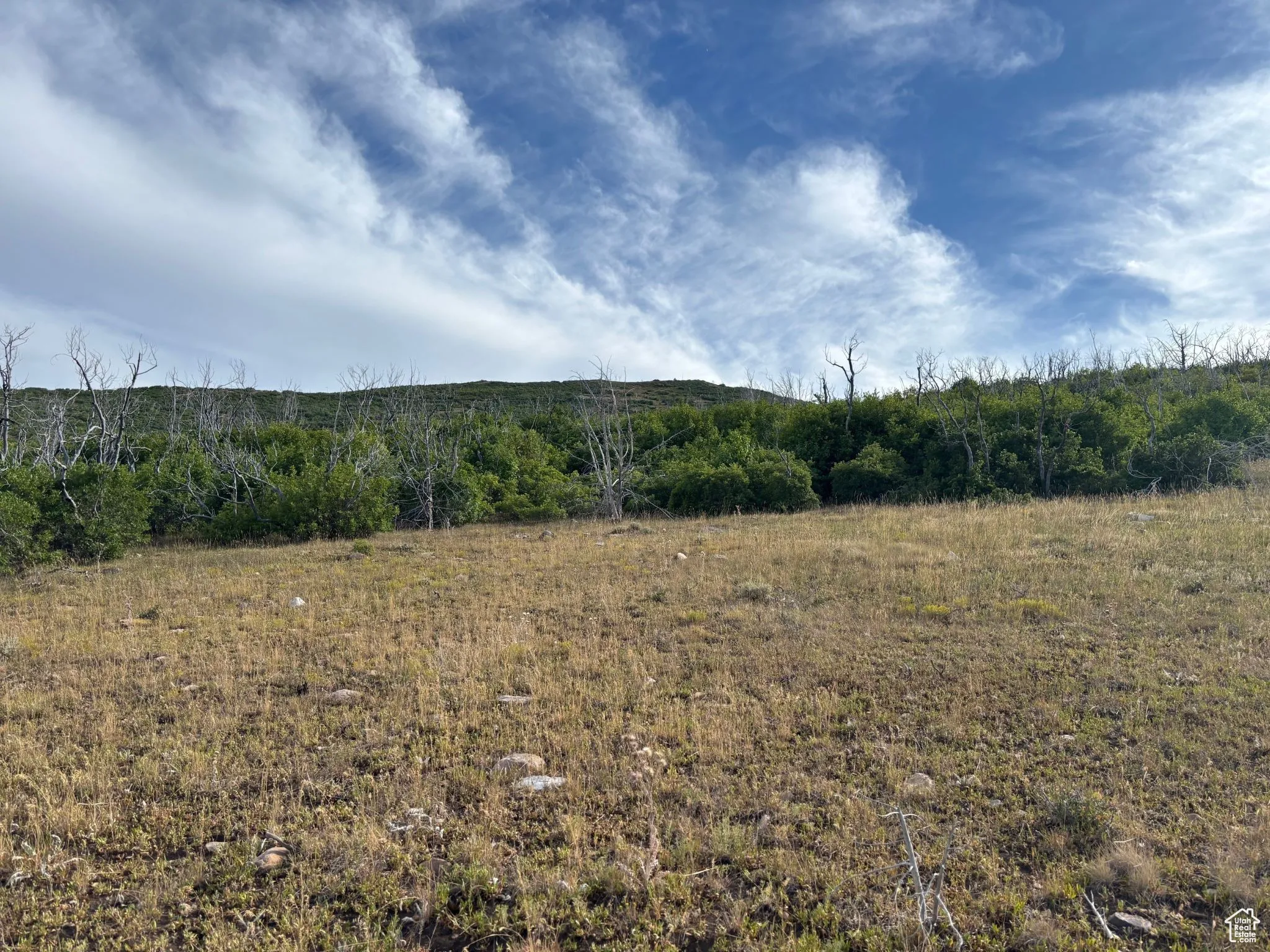 View of local wilderness featuring rural landscape