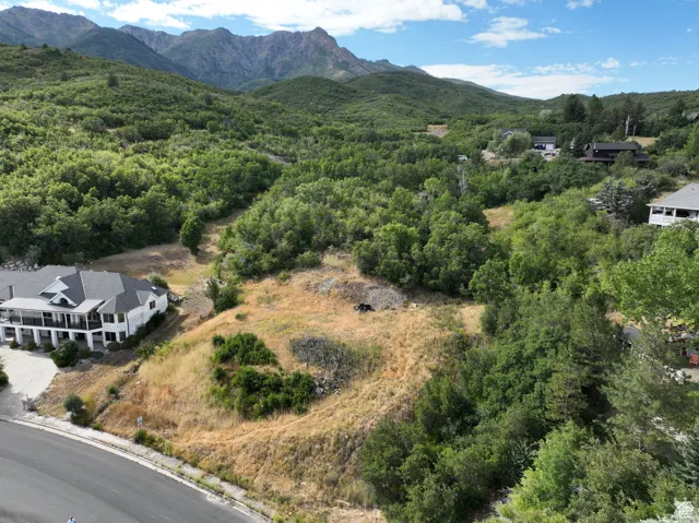 Aerial view of property and surrounding area with a forest and a mountain backdrop