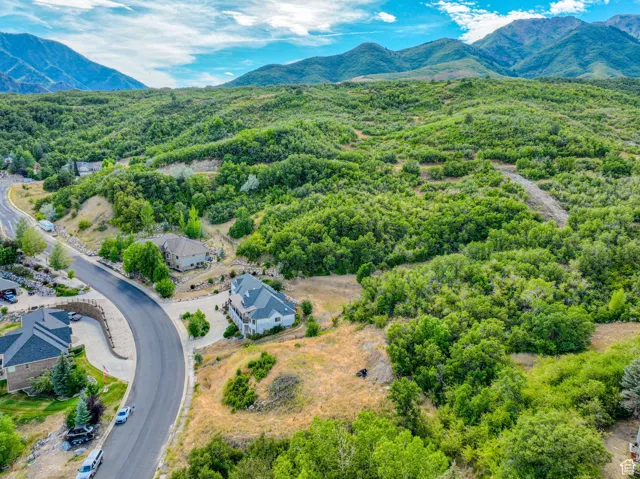 Bird's eye view of mountains and a forest