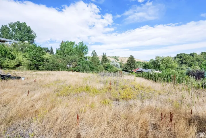 View of wooded area