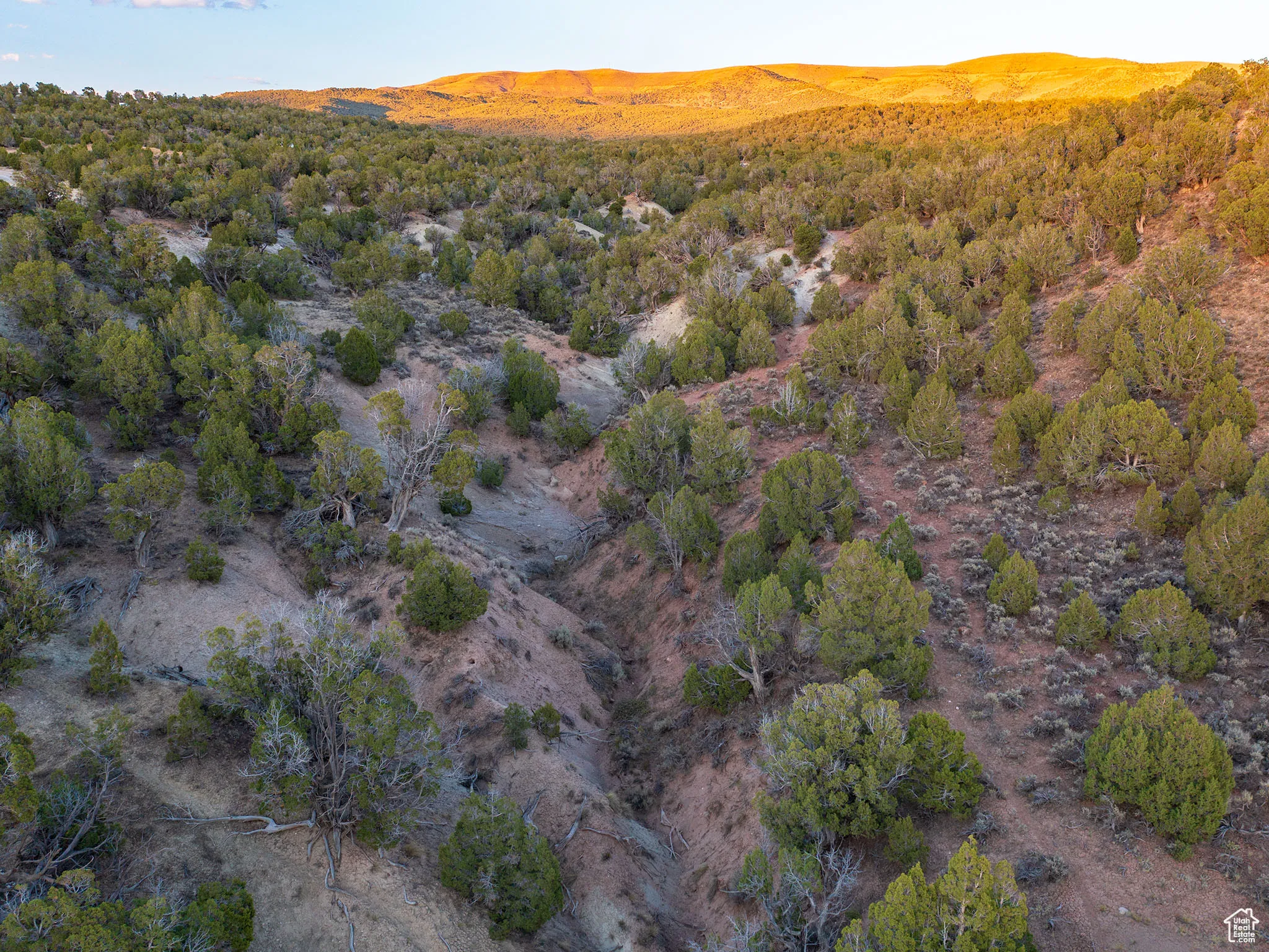 Drone / aerial view of mountains