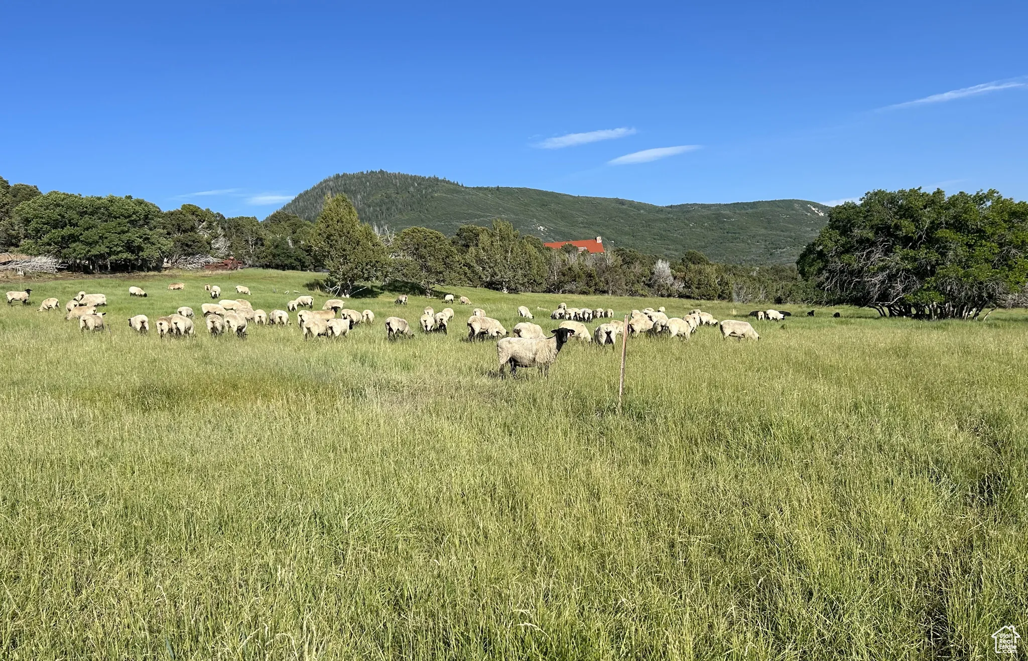 Mountain view with rural landscape