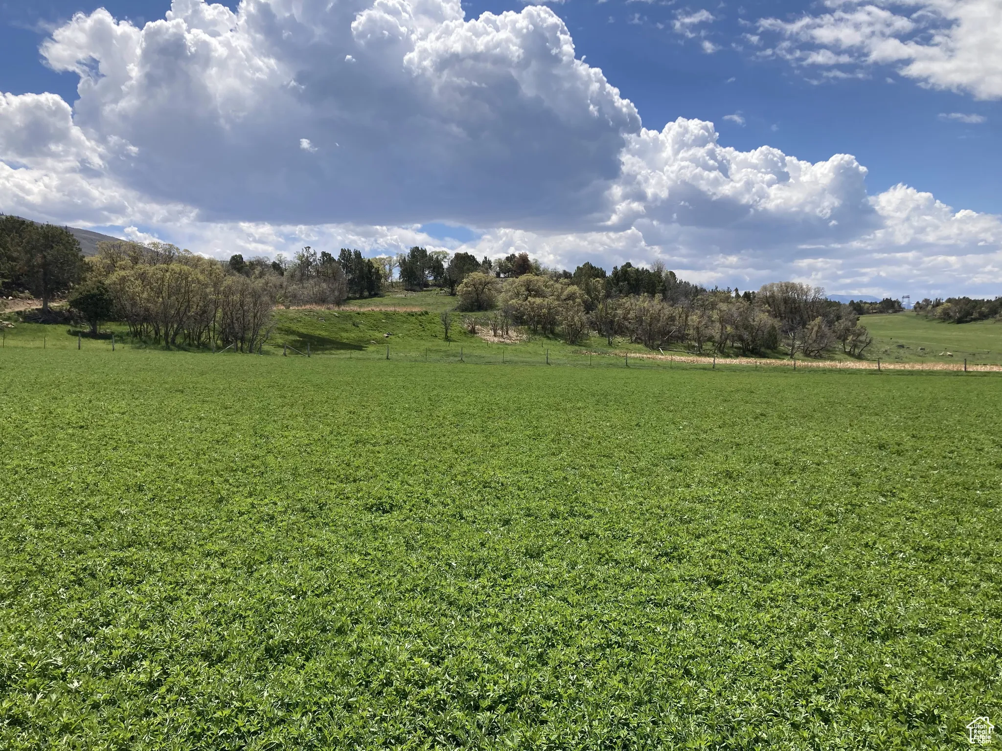 View of green lawn featuring a view of countryside
