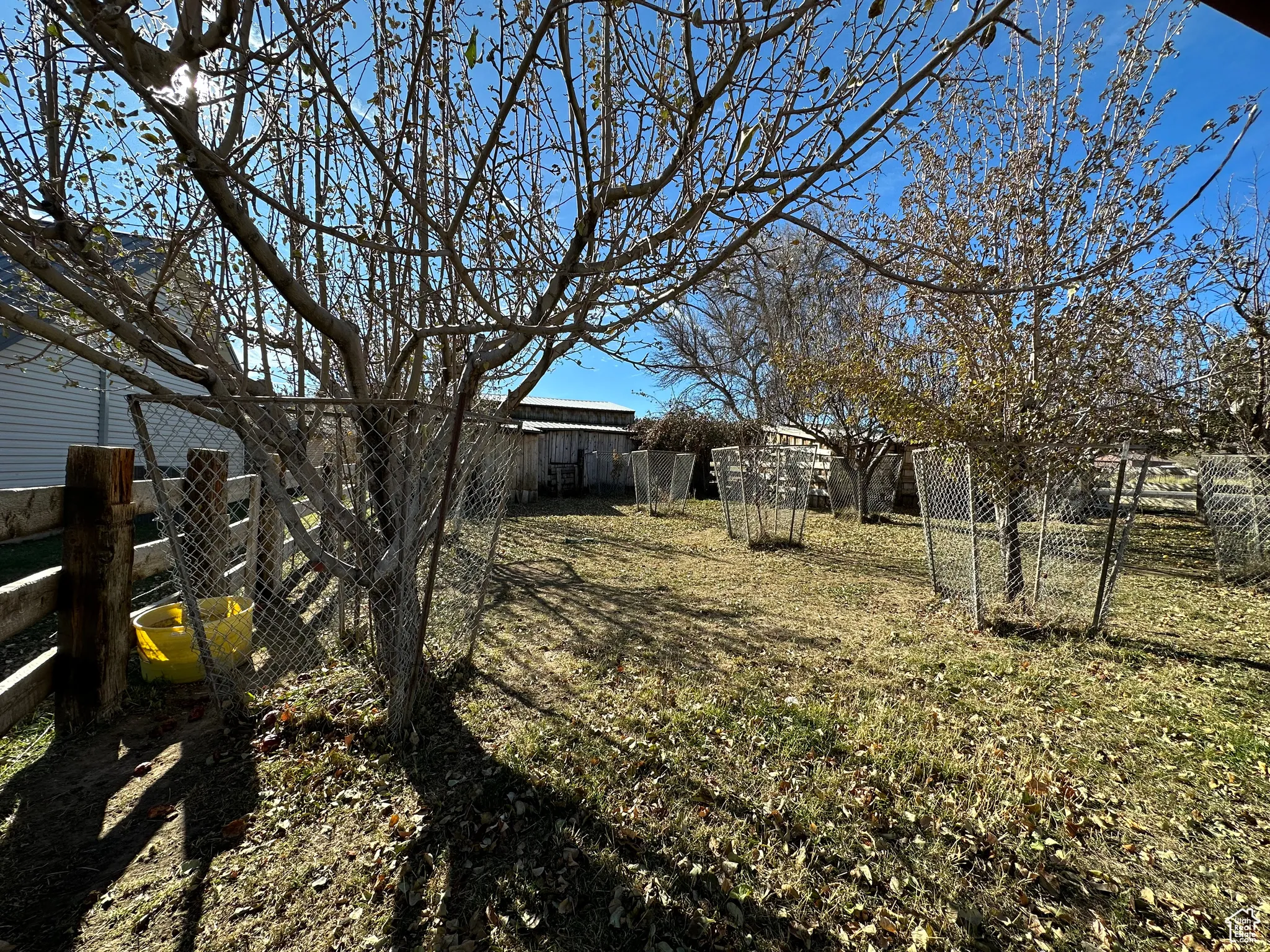 View of fenced backyard