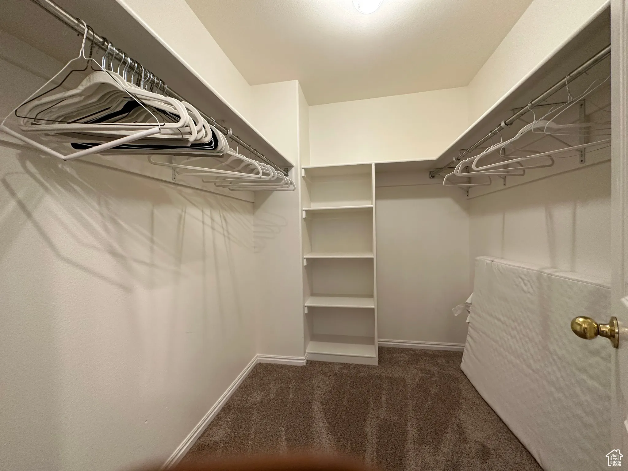 Spacious closet featuring carpet flooring