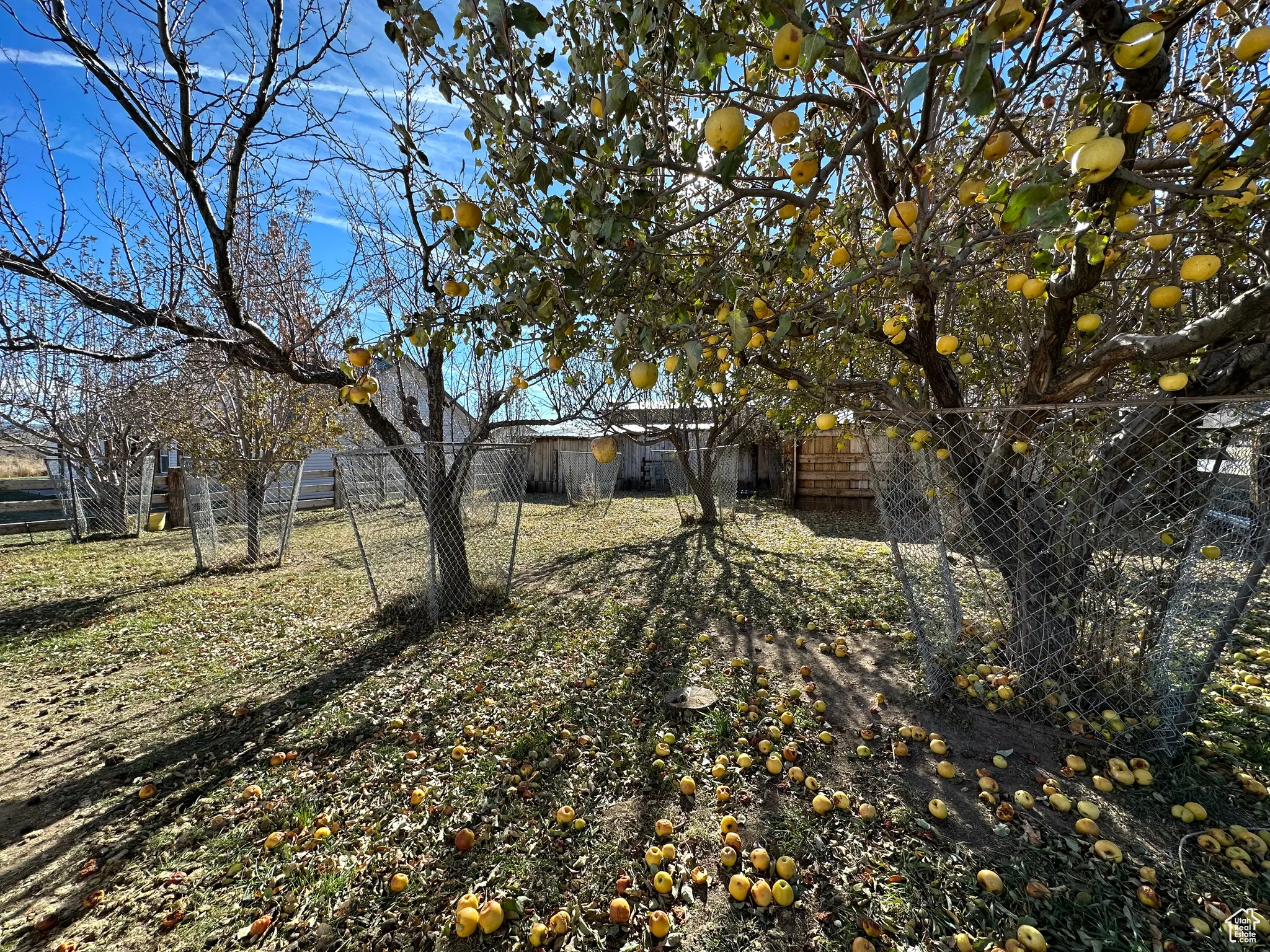 View of fenced backyard