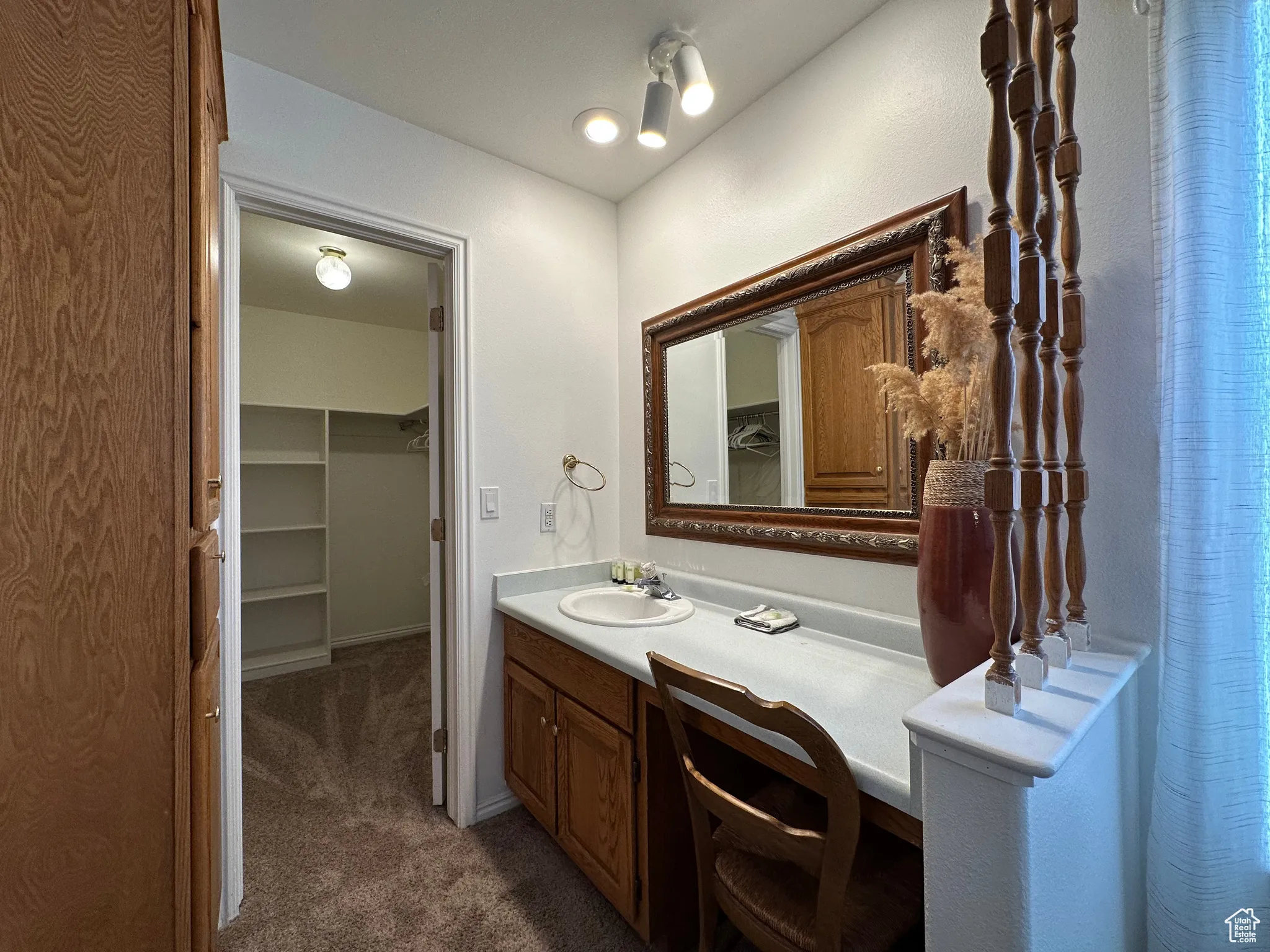 Bathroom with vanity and a walk in closet