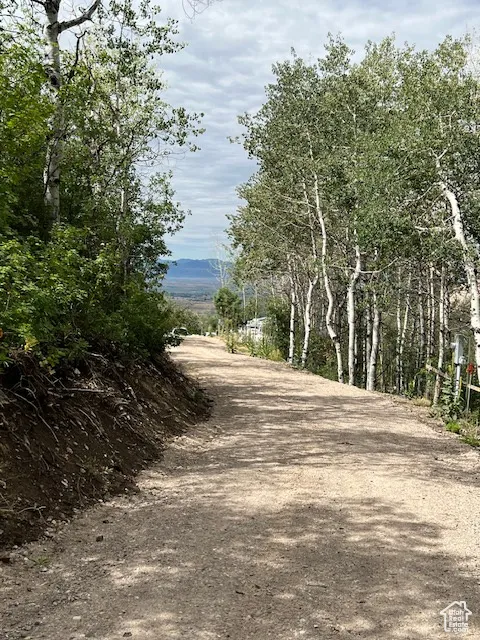 Driveway Entrance 1
