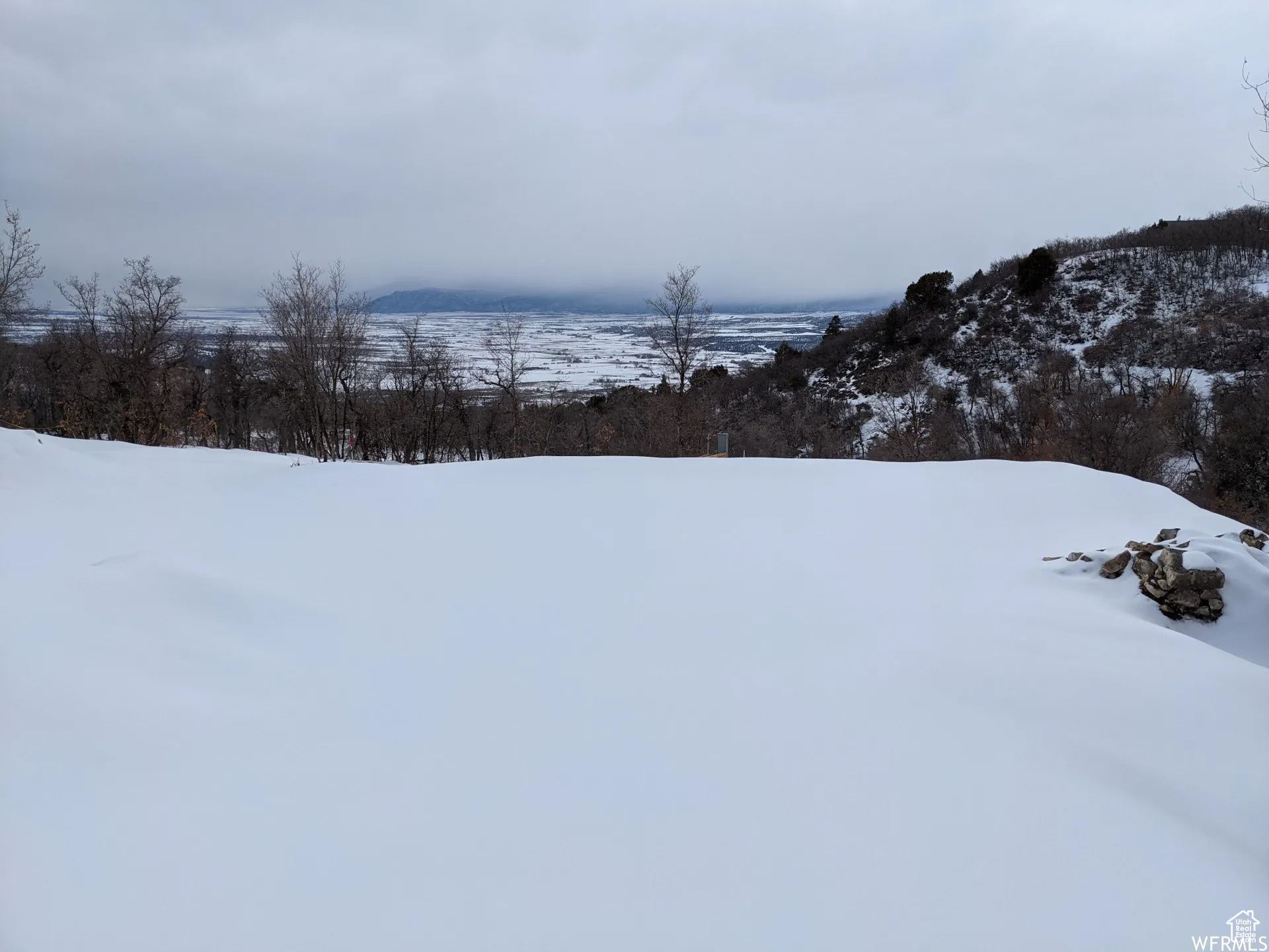Serene Winter View