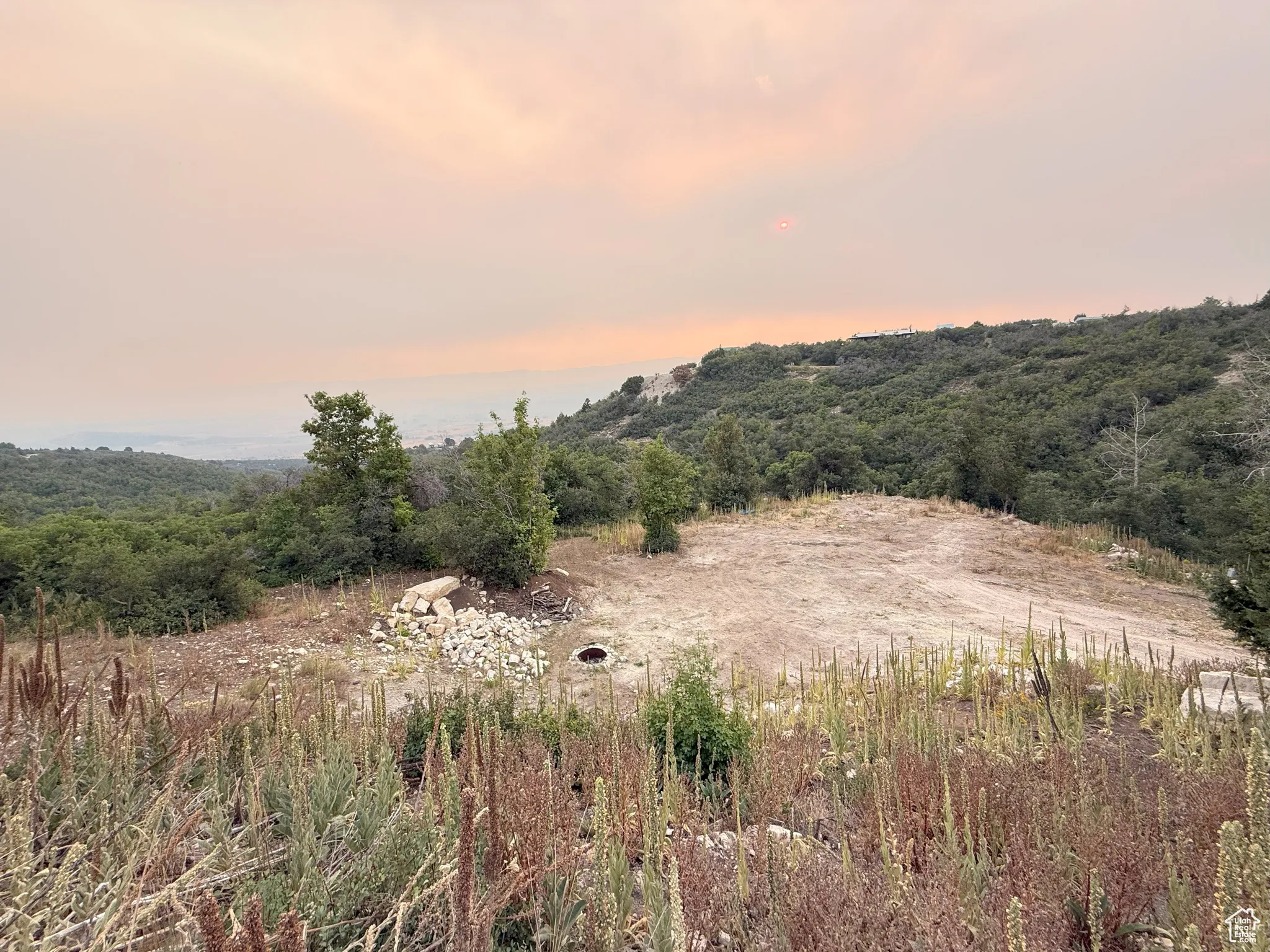 Nature at dusk featuring a view of trees and a rural view